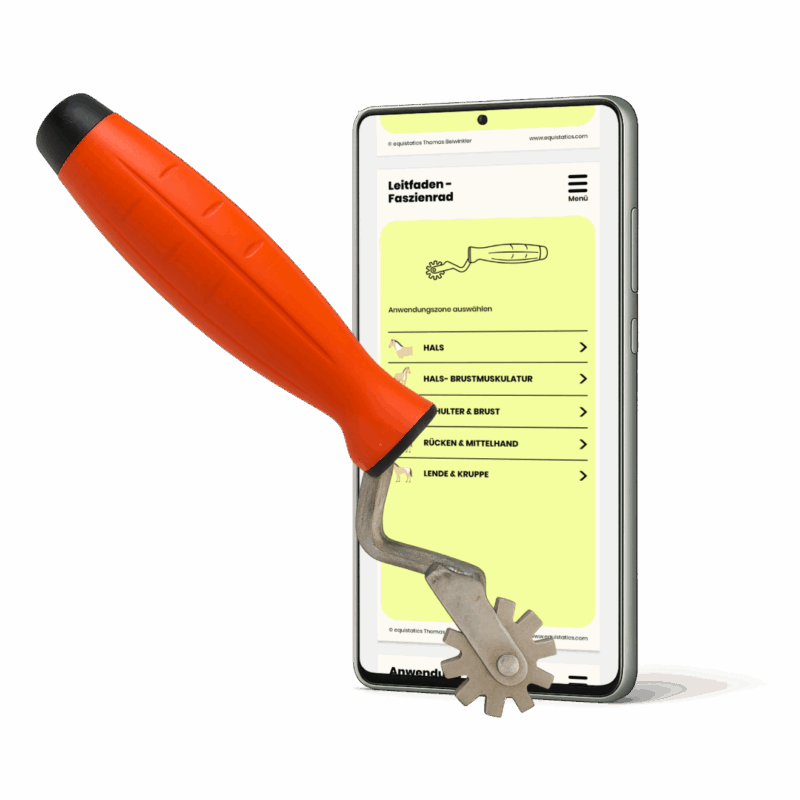 equistatics Faszienrad